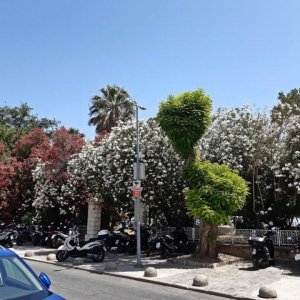 06_Trogir.jpg