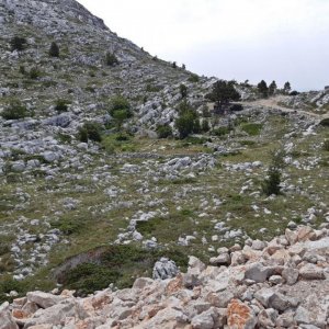 23_Biokovo Naturpark.jpg