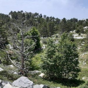 75_Biokovo Naturpark.jpg