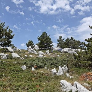 79_Biokovo Naturpark.jpg