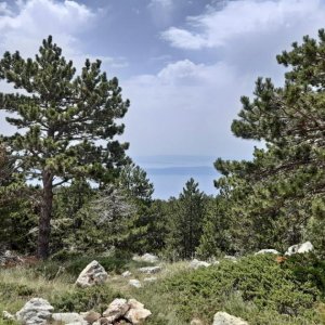 81_Biokovo Naturpark.jpg