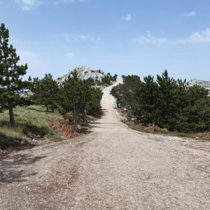 85_Biokovo Naturpark.jpg