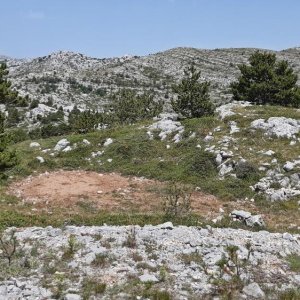 98_Biokovo Naturpark.jpg
