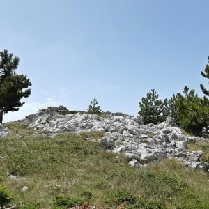 99_Biokovo Naturpark.jpg