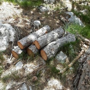 101_Biokovo Naturpark.jpg
