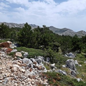 103_Biokovo Naturpark.jpg