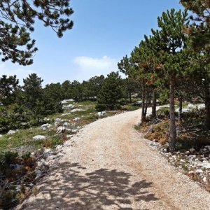 104_Biokovo Naturpark.jpg