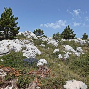 105_Biokovo Naturpark.jpg