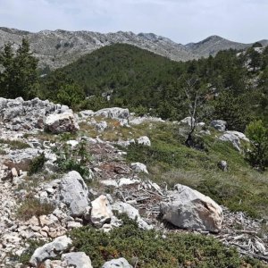 107_Biokovo Naturpark.jpg