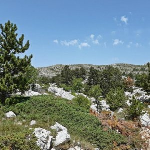 109_Biokovo Naturpark.jpg