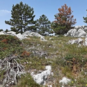 110_Biokovo Naturpark.jpg
