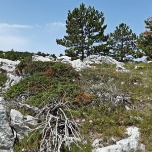 111_Biokovo Naturpark.jpg