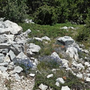 112_Biokovo Naturpark.jpg