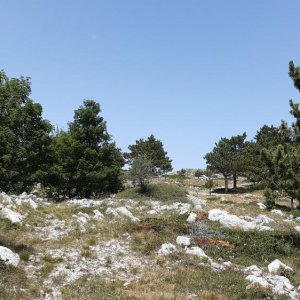 113_Biokovo Naturpark.jpg