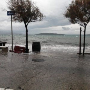 DSCF8380.JPG