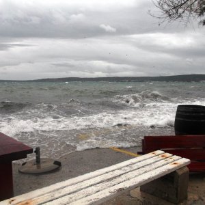 DSCF8375.JPG