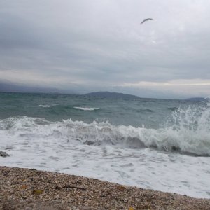 DSCF8500.JPG