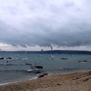 DSCF8523.JPG