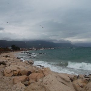 DSCF8510.JPG