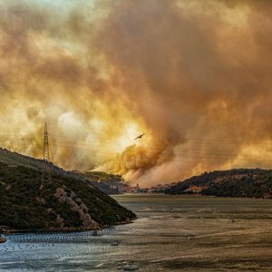 Dalmatien: ZATON > Brandkatastrophe