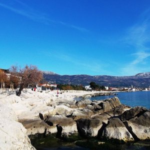 DSCF8595.JPG