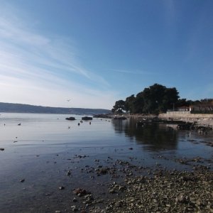 DSCF8591.JPG