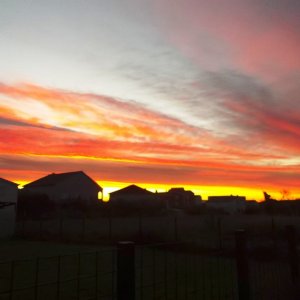 DSCF8614.JPG