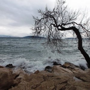 DSCF8642.JPG