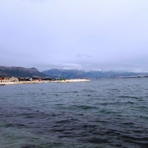 DSCF8659.JPG
