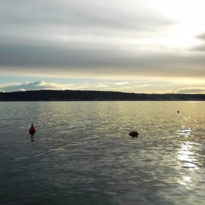DSCF8655.JPG