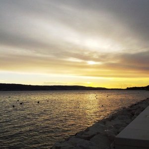 DSCF8661.JPG