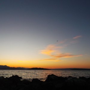 DSCF8690.JPG