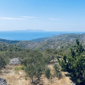 Dalmatien: INSEL HVAR > Blick auf Insel Vis