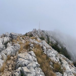 Dalmatien: INSEL HVAR > Sveti Nikola