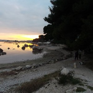 DSCF8729.JPG