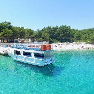 Dalmatien: Insel Ciovo> Labadusa