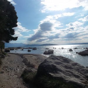 DSCF8764.JPG