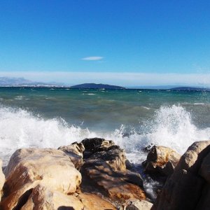 DSCF8790.JPG
