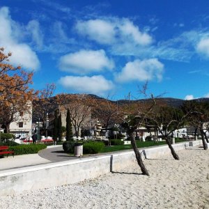 DSCF8819.JPG