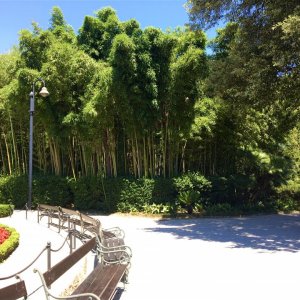 KVARNER - Opatija - Bambus