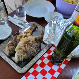 Dalmatien: KASTELA > Fisch vom Grill