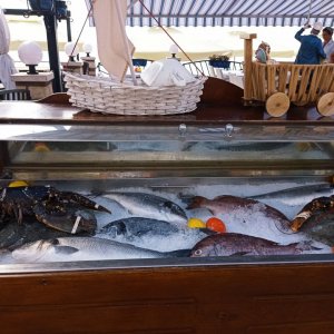 Istrien: Umag> Fische in der Konoba