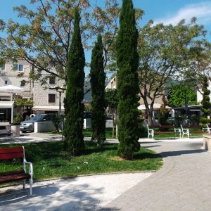 DSCF8883.JPG