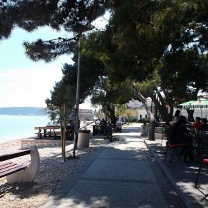 DSCF8879.JPG