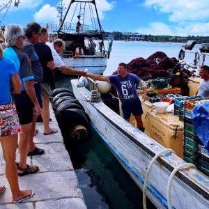 Kvarner: NOVALJA > Fischverkauf