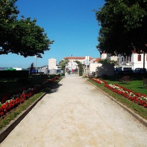DSCF8926.JPG