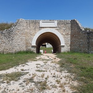 19.jpg