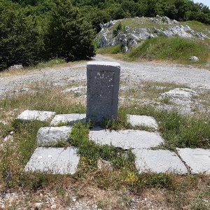 55.jpg