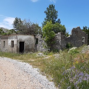 57.jpg