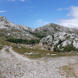 59.jpg
